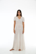 Dress Fern